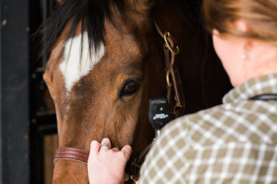 Eden Equine-163
