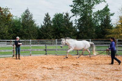 Eden Equine-26