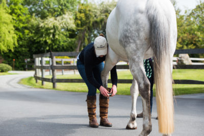 Eden Equine-41